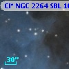 Cl* NGC 2264    SBL    1034