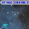 Cl* NGC 2264    SBL    1915A