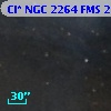 Cl* NGC 2264    FMS  2-439