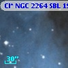 Cl* NGC 2264    SBL    1934