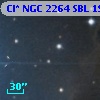 Cl* NGC 2264    SBL    1962