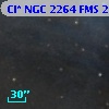 Cl* NGC 2264    FMS  2-482