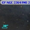 Cl* NGC 2264    FMS  2-484