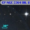 Cl* NGC 2264    SBL    1977