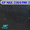 Cl* NGC 2264    FMS  2-495