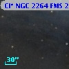 Cl* NGC 2264    FMS  2-500