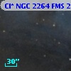 Cl* NGC 2264    FMS  2-507