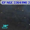 Cl* NGC 2264    FMS  2-506