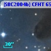 [SBC2004b] CFHT 6553