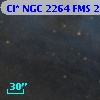 Cl* NGC 2264    FMS  2-517