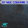 Cl* NGC 2264    FMS  2-524