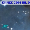 Cl* NGC 2264    SBL    2013A