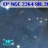 Cl* NGC 2264    SBL    2013B