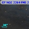 Cl* NGC 2264    FMS  2-548