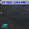 Cl* NGC 2264    FMS  2-569