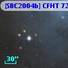 [SBC2004b] CFHT 7295