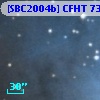 [SBC2004b] CFHT 7313