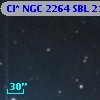 Cl* NGC 2264    SBL    2170