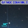Cl* NGC 2264    SBL    2209A