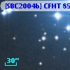 [SBC2004b] CFHT 8519