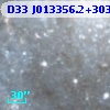 D33 J013356.2+303748.1