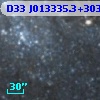 D33 J013335.3+303057.5