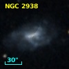 NGC  2938
