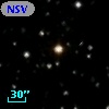 NSV 13775