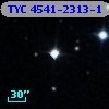 TYC 4541-2313-1