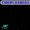CXOGWS J141659.1+522241