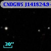 CXOGWS J141824.9+522330