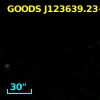 GOODS J123639.23+621657.0