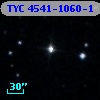 TYC 4541-1060-1