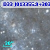 D33 J013355.9+303550.1