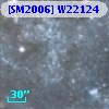 [SM2006] W22124