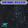 [SM2006] W31339