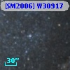[SM2006] W30917