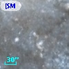 [SM2006] W22269