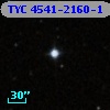 TYC 4541-2160-1