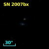 SN 2007bx