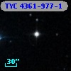 TYC 4361-977-1
