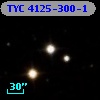 TYC 4125-300-1