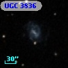 UGC  3836