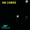 SN 1989X