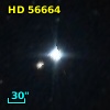 HD  56664