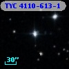 TYC 4110-613-1