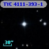 TYC 4111-393-1