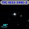 TYC 4111-1443-1