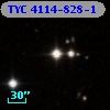 TYC 4114-828-1