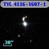 TYC 4116-1607-1